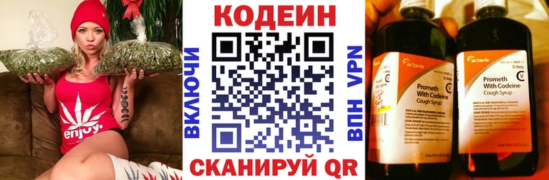 Купить закладки  Вышний Волочёк  Кодеин Purple Drank 