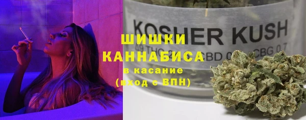 хмурый Алзамай