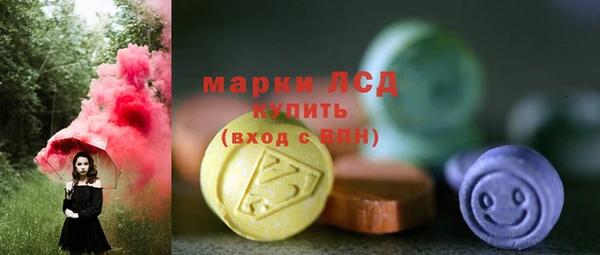 хмурый Алзамай