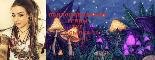 тгк Алексеевка