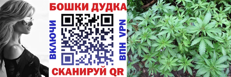 Купить закладки  Вышний Волочёк  Бошки марихуана сатива 